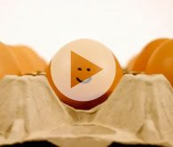 Click to play video
