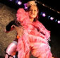 Photo - Ministry of Burlesque 