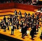 Royal Philharmonic Concert Orchestra 