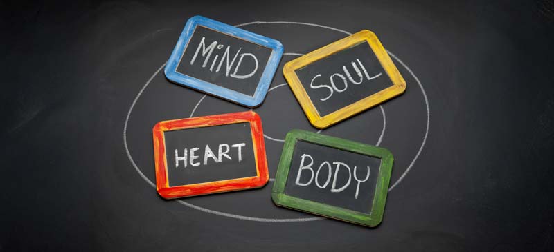 Mind Mind Soul Body